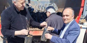 Hisarcık’ta bin 800 meyve fidanı dağıtıldı
