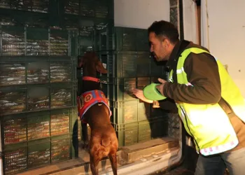 33 sosyal medya hesabı erişime kapatıldı
