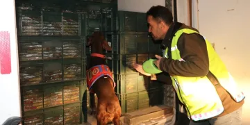 33 sosyal medya hesabı erişime kapatıldı