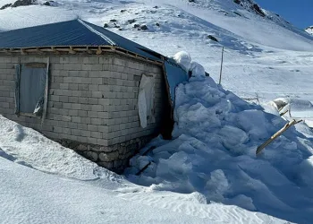 Şırnak’ta çatılar kara dayanamadı