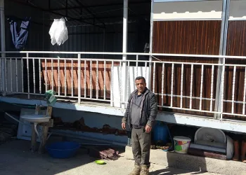 Depremde çöken evini tahtalarla güçlendirdi