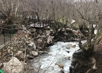 Sason’da akarsular eriyen karla coştu