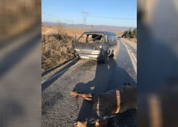 Geyiğe çarpan minibüste 2 kişi yaralandı