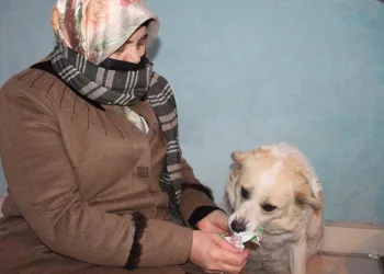 Alkış sesi duyunca oynamaya başlıyor