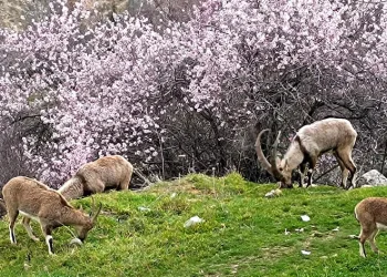 Aynı il iki farklı mevsim