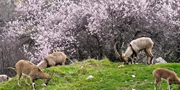 Aynı il iki farklı mevsim