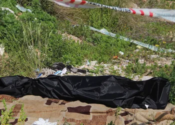 Yol kenarında cesedi bulunan kadının kimliği belli oldu