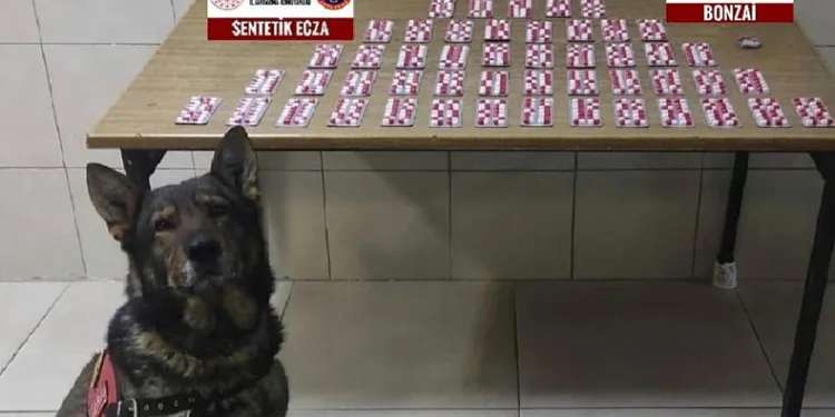 Erzincan’da uyuşturucu operasyonu
