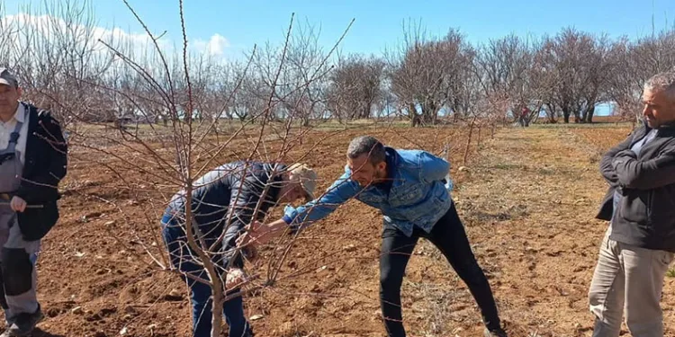 Üreticilere uygulamalı budama eğitimi
