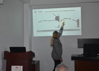 Kahverengi Kokarca ile mücadele yılı