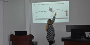 Kahverengi Kokarca ile mücadele yılı