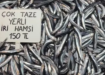 Fiyatlar uygun, satışlar durgun