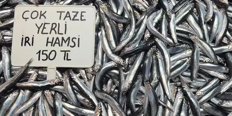 Fiyatlar uygun, satışlar durgun
