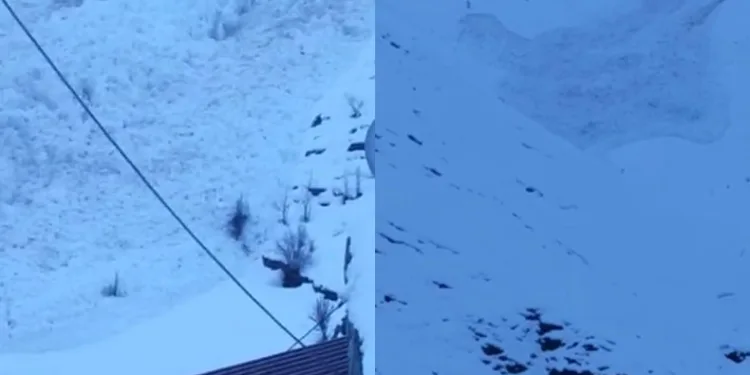 Uludere’de çığ düş, o anlar kameraya yansıdı