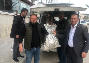 Osmaneli böğürtlenle renklenecek, ekilmedik alan kalmayacak