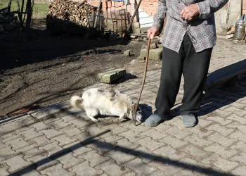 Yaşlı çiftin hayatını değiştiren destek