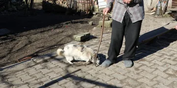 Yaşlı çiftin hayatını değiştiren destek