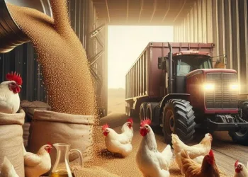 Soya üretiminde Türkiye birincisi oldu