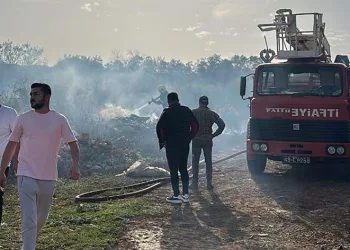 Muğla’da makilik yangını