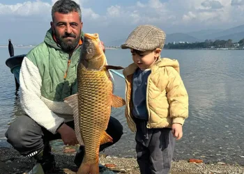İznik Gölü’nde sazan bereketi