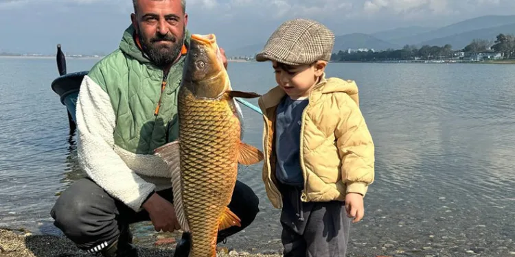 İznik Gölü’nde sazan bereketi