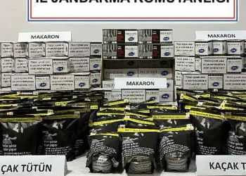 Sinop’ta kaçak tütün operasyonu
