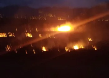 Erzincan’da örtü yangını korkuttu