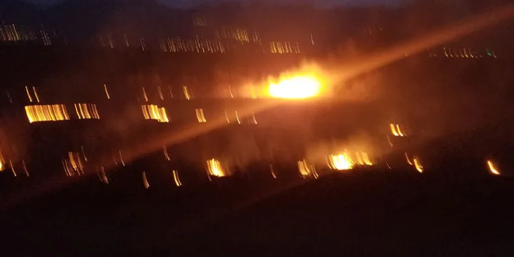 Erzincan’da örtü yangını korkuttu