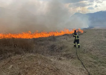 Örtü yangını büyümeden söndürüldü