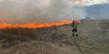 Örtü yangını büyümeden söndürüldü