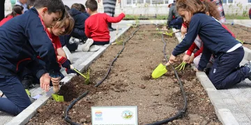 Minik eller tarımla buluştu
