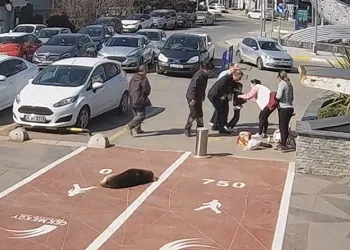 ‘Heimlich manevrası’ çocuğun hayatını kurtardı
