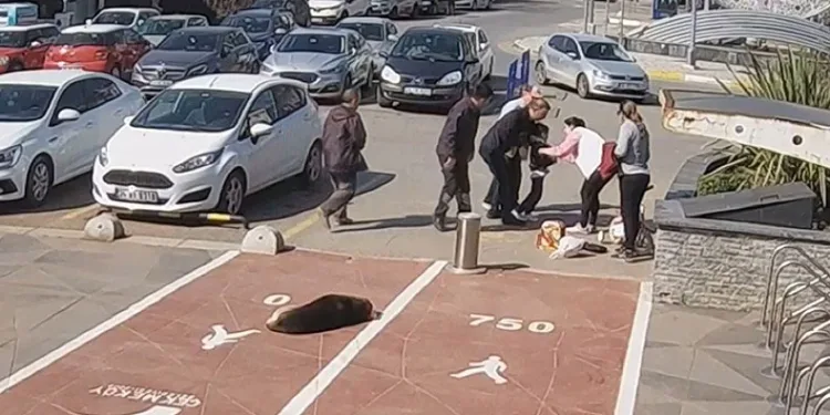 ‘Heimlich manevrası’ çocuğun hayatını kurtardı