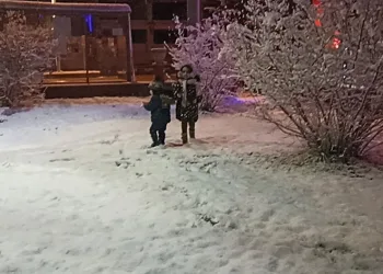Erciş’te Mart ayında kar yağışı