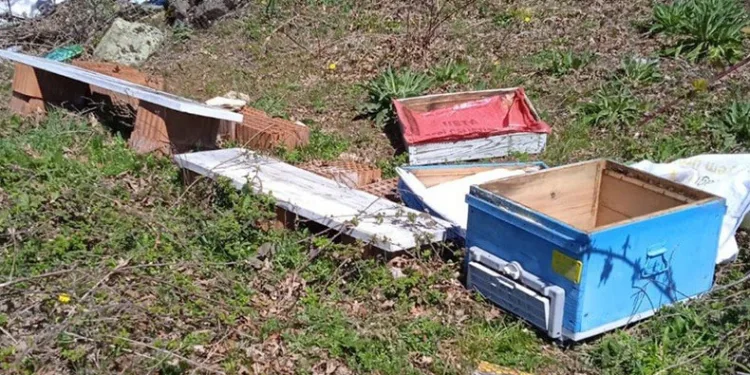 Arı kovanları ayılar tarafından parçalandı