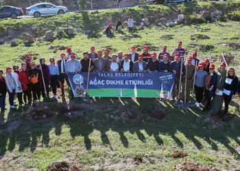 Talas’a 5 yılda 500 bin ağaç