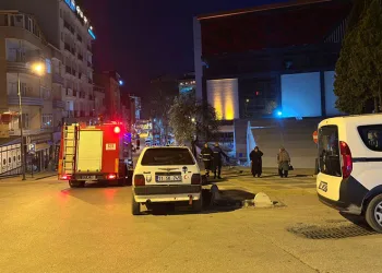 Bilecik’te çocuklar palmiye ağacını yaktı