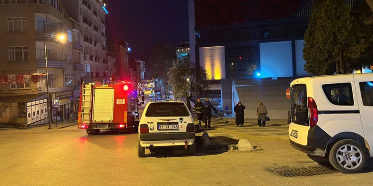 Bilecik’te çocuklar palmiye ağacını yaktı