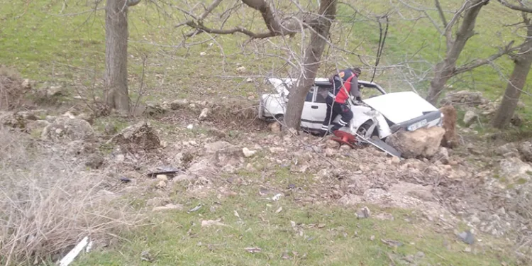 Mardin’de devrilen otomobildeki 2 kişi yaralandı