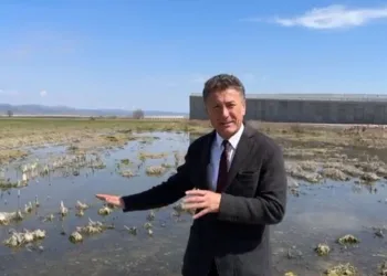 “Su baskını tarımsal faaliyete engel olacak”