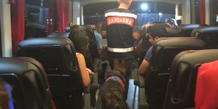 Uyuşturucu ile seyahate jandarma engeli