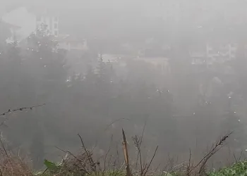 Bilecik’te sis etkili oldu