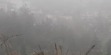 Bilecik’te sis etkili oldu