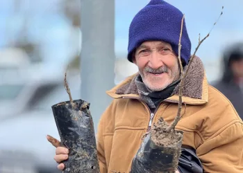 2 bin fidan dağıtıldı