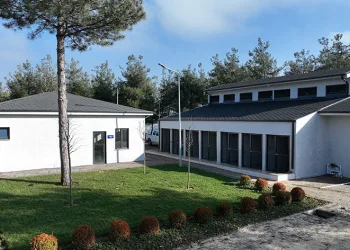 Can dostlara modern yeni yuva