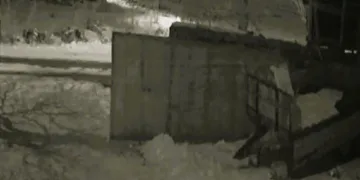 Köye inen aç kurtlar dehşet saçtı