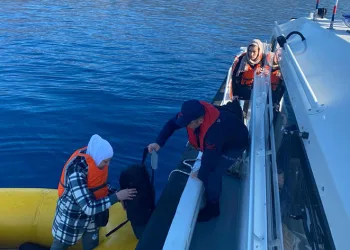 13 düzensiz göçmen yakalandı