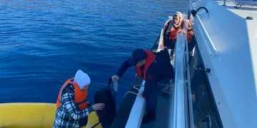 13 düzensiz göçmen yakalandı