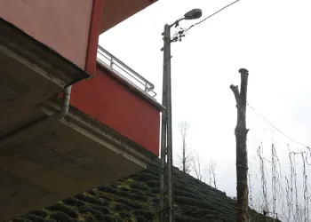 Elektrik direkleri köye dert oldu
