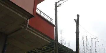 Elektrik direkleri köye dert oldu